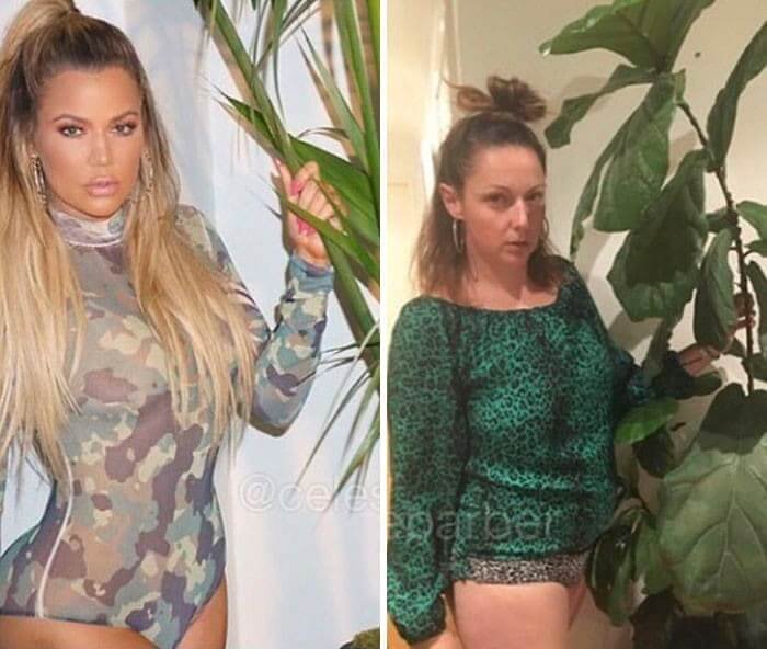 "Have You Seen My House Plant?"