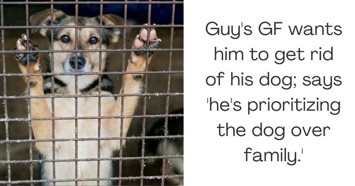 Guy's GF wants him to get rid of his dog; says 'he's prioritizing the dog over family.'