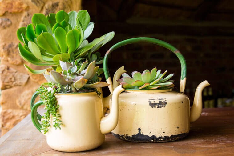 Upcycle