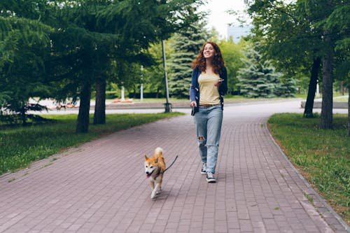 Free A smiling redhead woman walks her Shiba Inu dog in a green urban park on a sunny day. Stock Photo